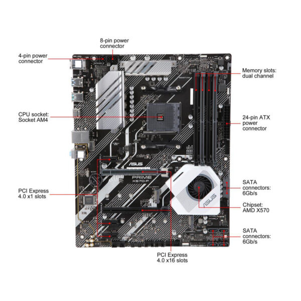 Asus M/B Prime X570-P